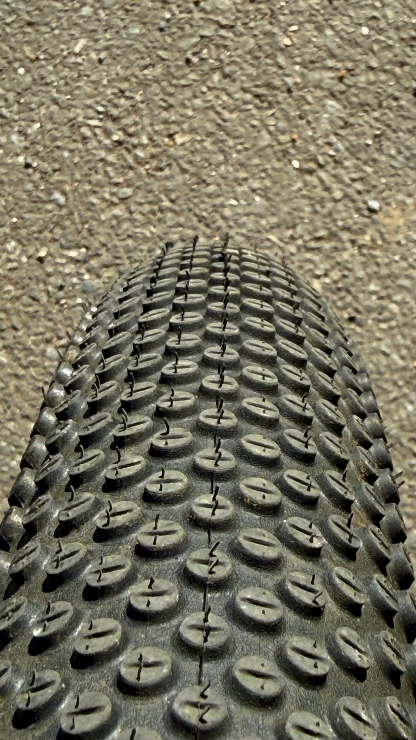 Scott Scale 10 2025