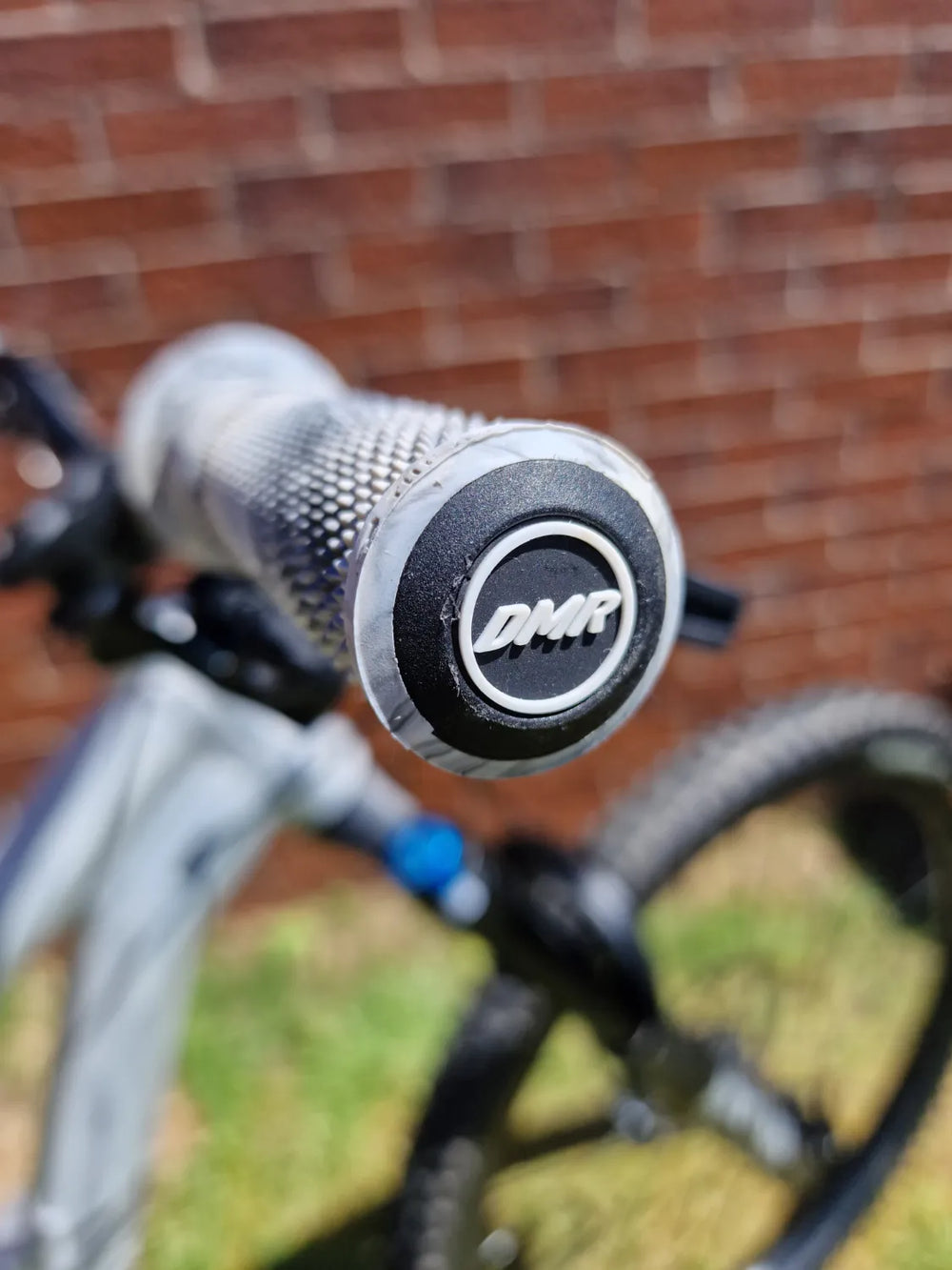 Canyon Torque 5 (Mullet) 2025