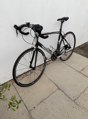 Specialized Roubaix Elite 2010