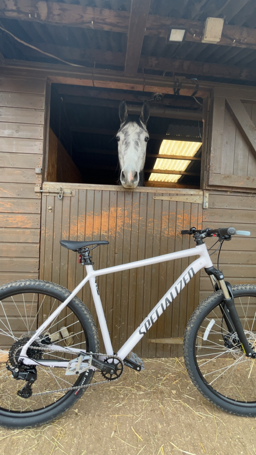 Specialized Rockhopper 29 2026