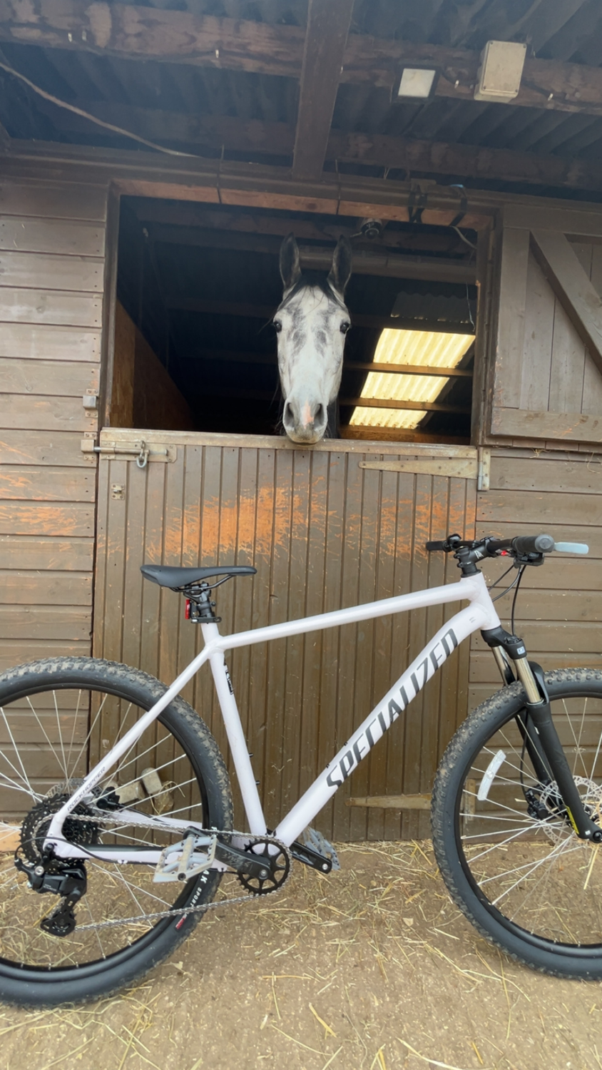 Specialized Rockhopper 29 2026