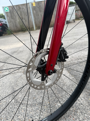 Trek Domane+ 2019