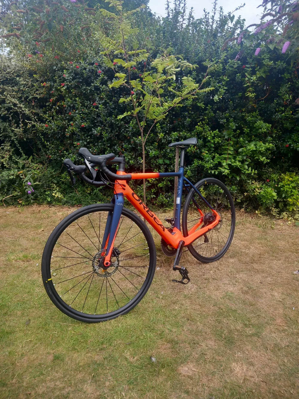 Orbea Ebikemotion x35 2020