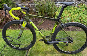 Cipollini Bond 2019