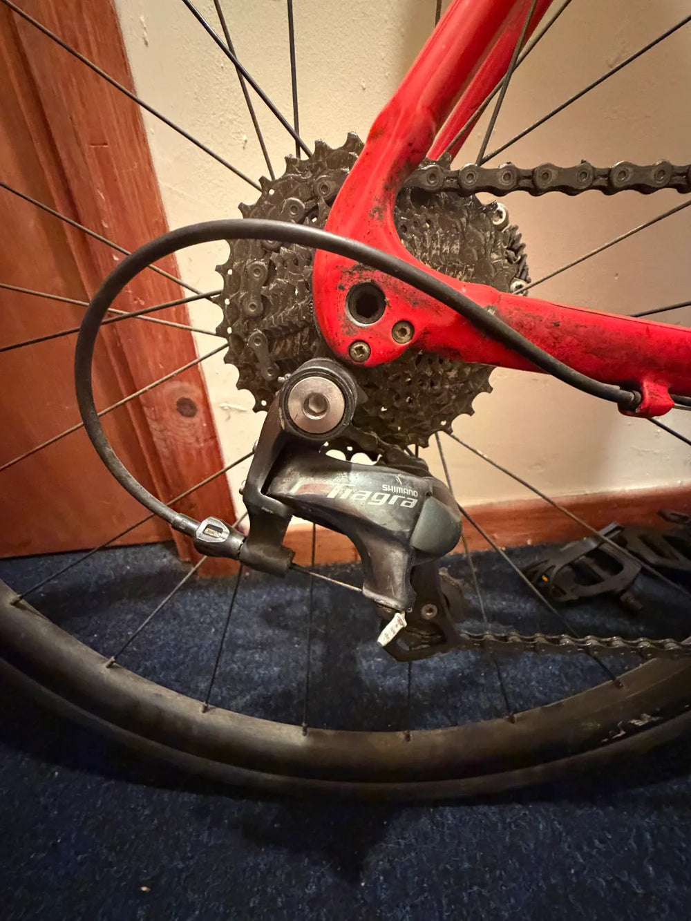 Trek Émonda ALR 4 Disc 2022
