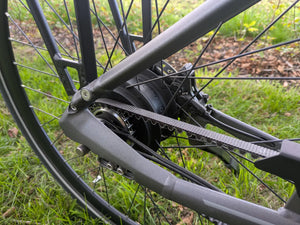 Gazelle Ultimate C380 HMB Belt 2020