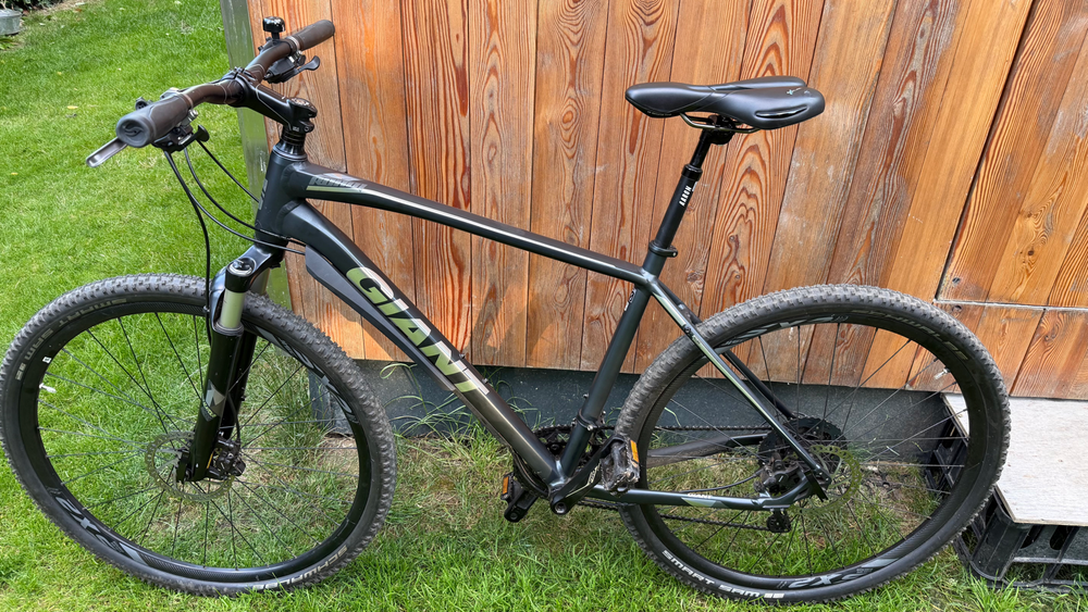 Giant Roam 0 Disc 2014