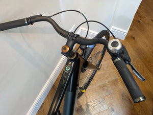 Buzzbike EZ 2022