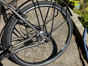Van Nicholas Amazon Rohloff Speedhub 14-spd belt 2018