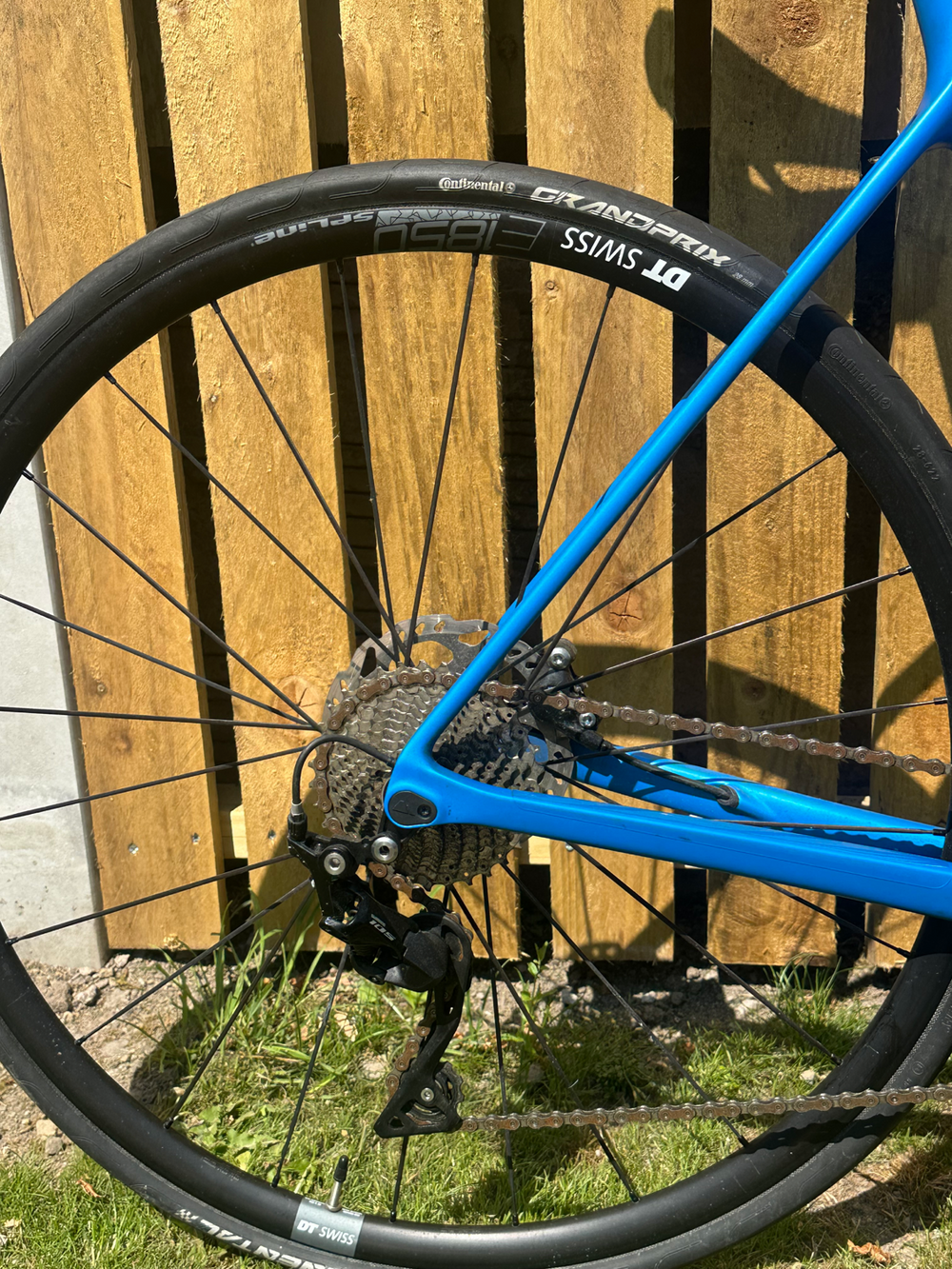 Canyon Endurace CF SL 7 Disc 2022