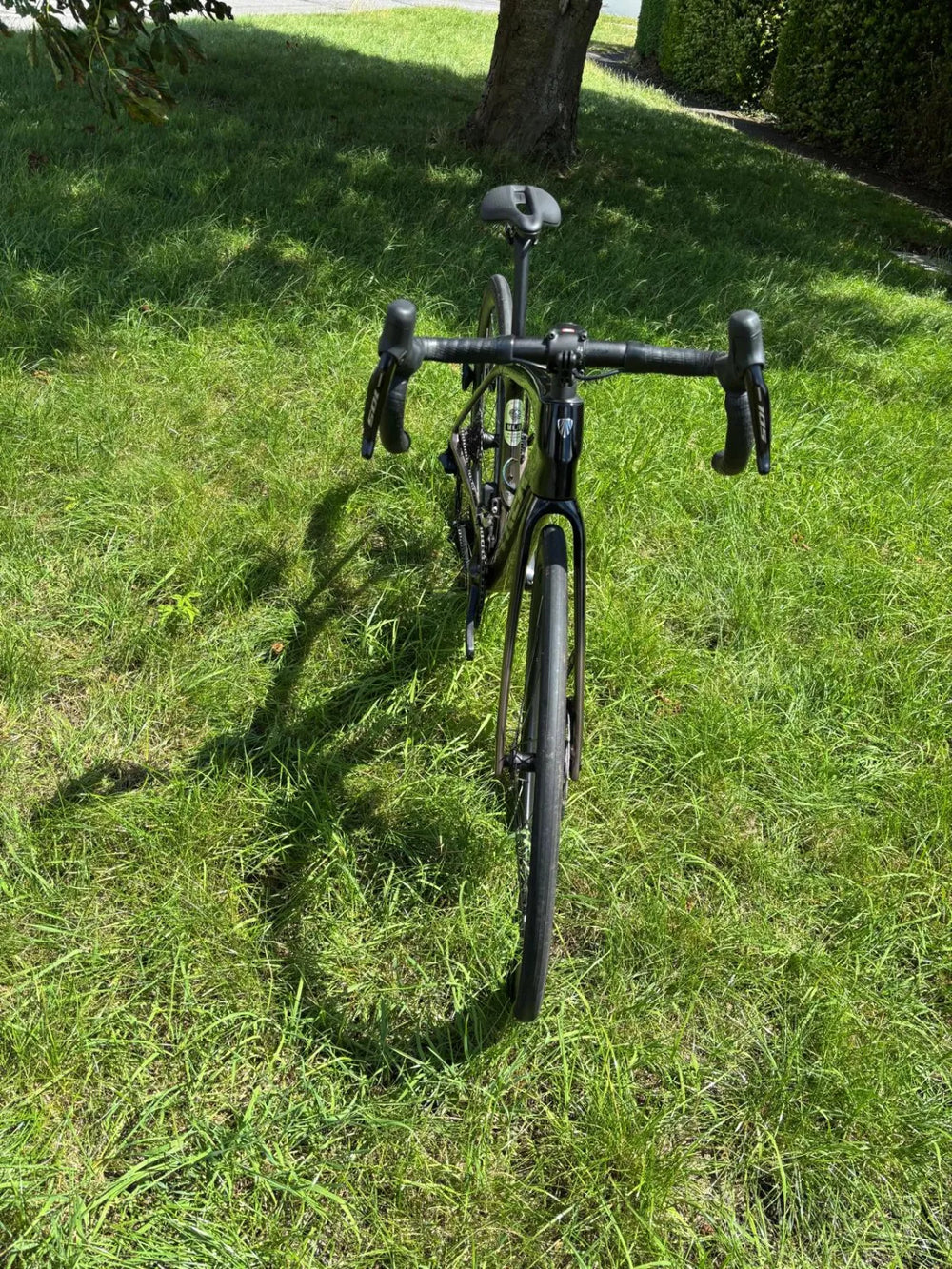 Trek Domane SL 6 Gen 4 Carbon Road 2026