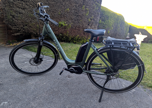 Raleigh Motus Ltd Lowstep Electric 2025