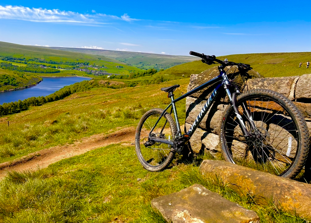 Specialized Rockhopper 29 2023