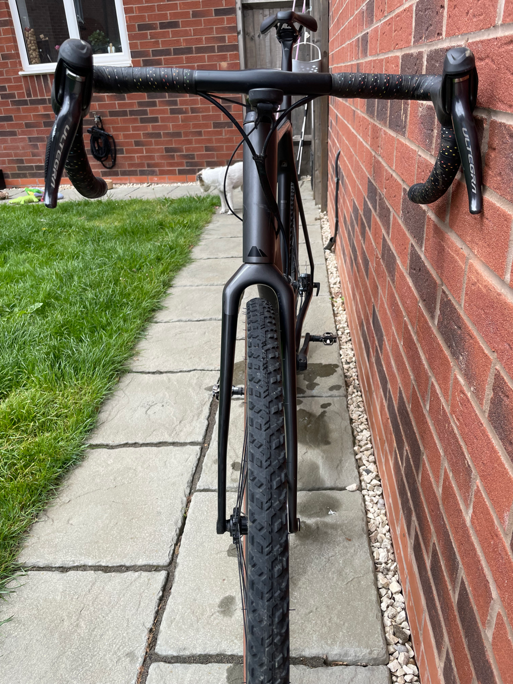 Canyon CF SLX 2019