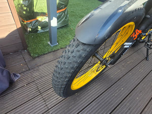Lankeleisi Rv700