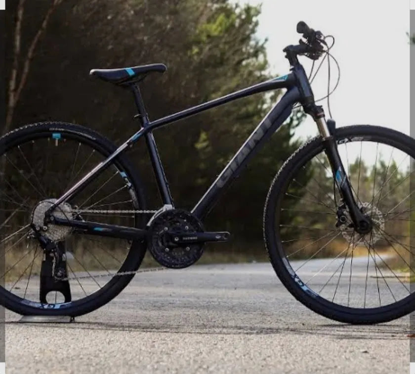 Giant Roam 1 Disc 2022