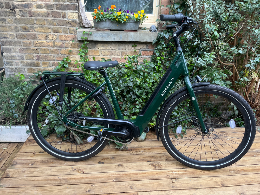 Ridgeback Electron INT 2024