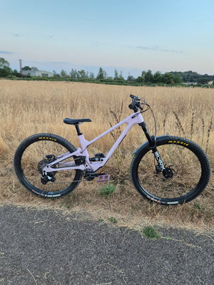 Forbidden Druid 2 29er 2025