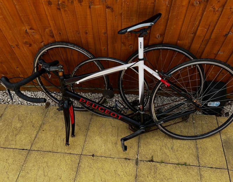 Peugeot R02 Carbon 105 2010
