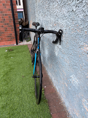 Giant Propel Advanced 2 Carbon Road 2019
