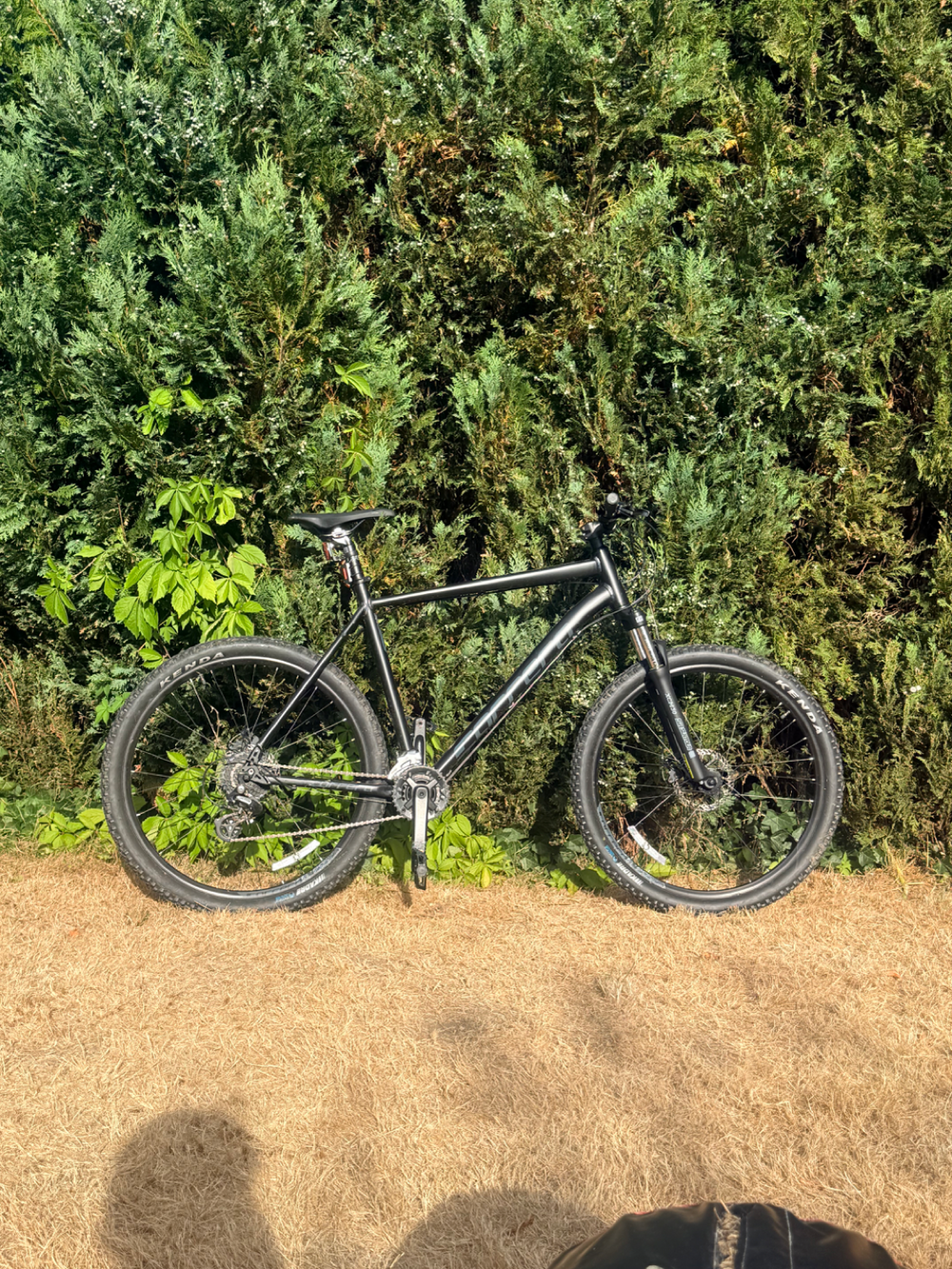 Carrera Vengeance , 2024