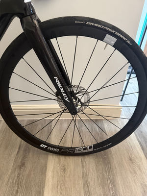 Ridley Falcn RS 2025