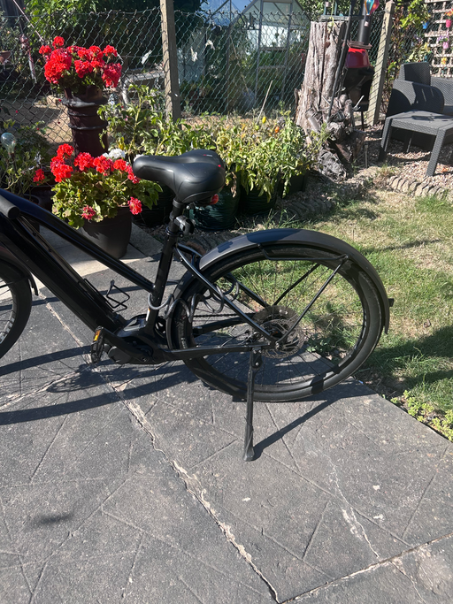 Cannondale Canvas Neo 2 2024