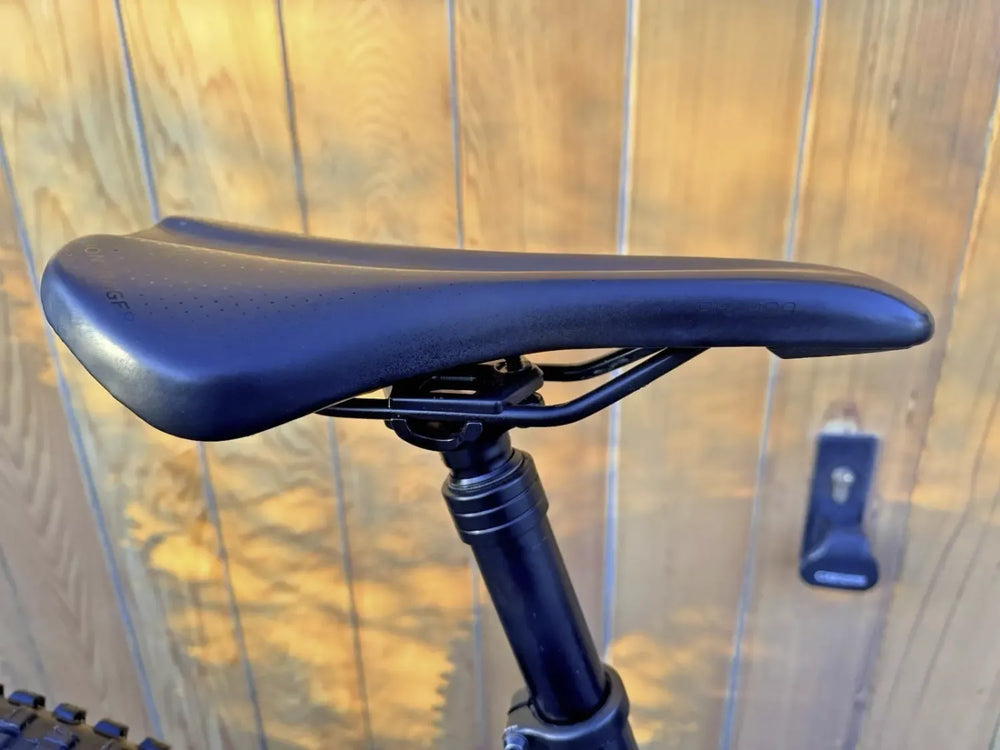 TREK POWERFLY 9.7 FULL CARBON ELECTRIC MOUNTAIN E-BIKE **LARGE FRAME** 2020