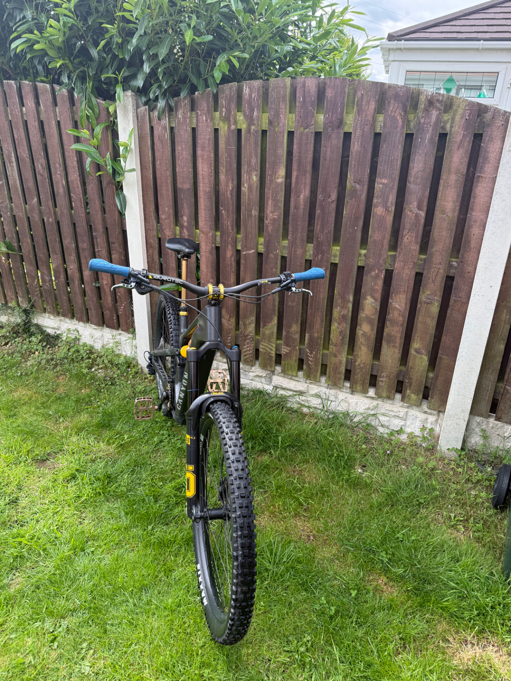 Canyon Strive:ON CFR Underdog 2024