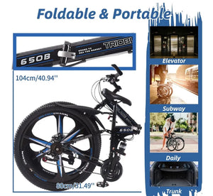 Trioblade 650B