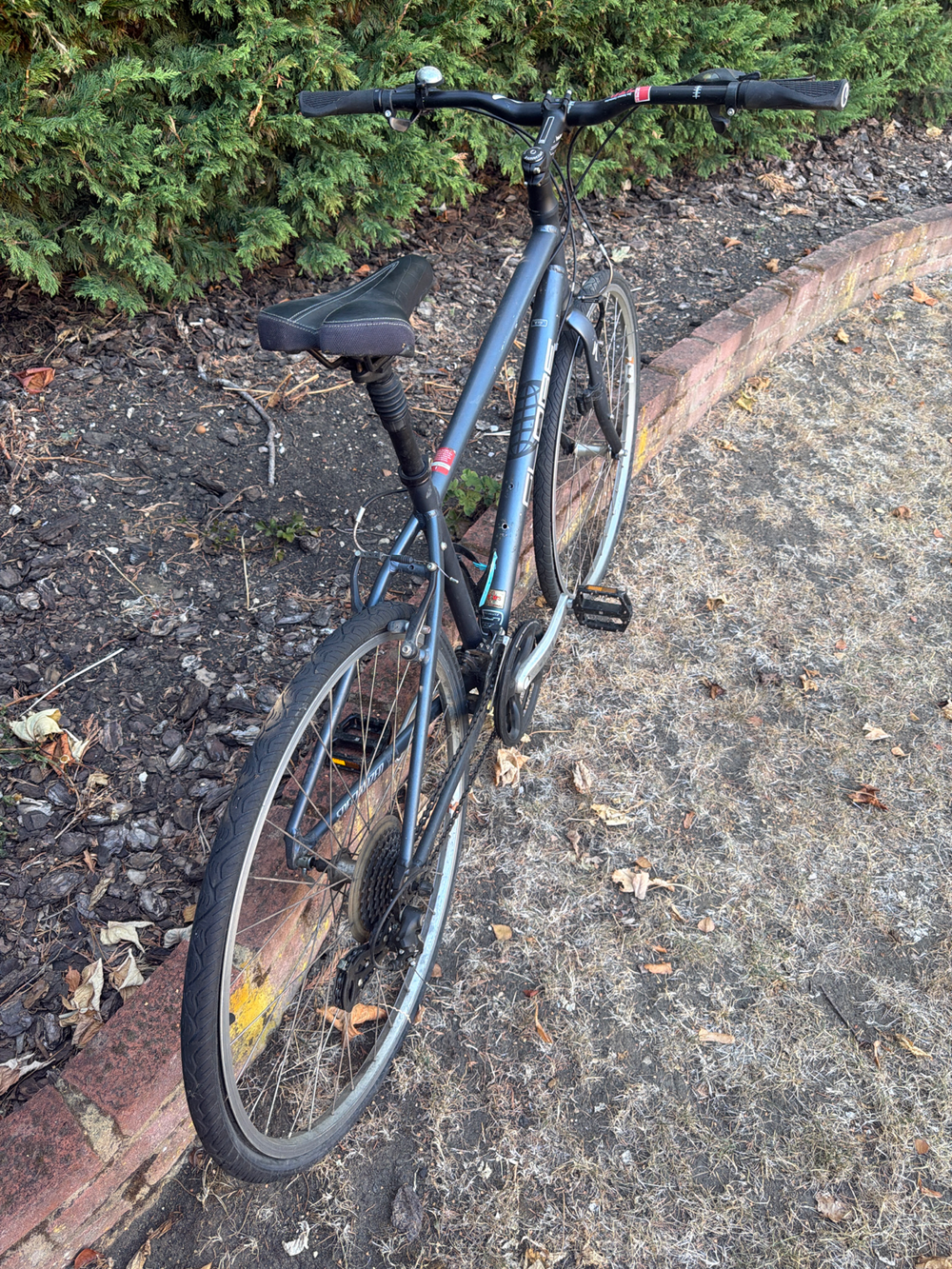 Specialized Globe 2008