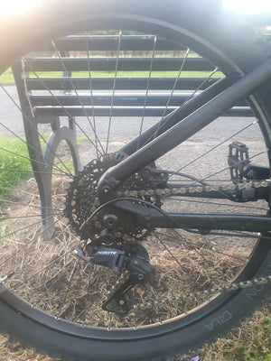 Rockrider E-ST 500