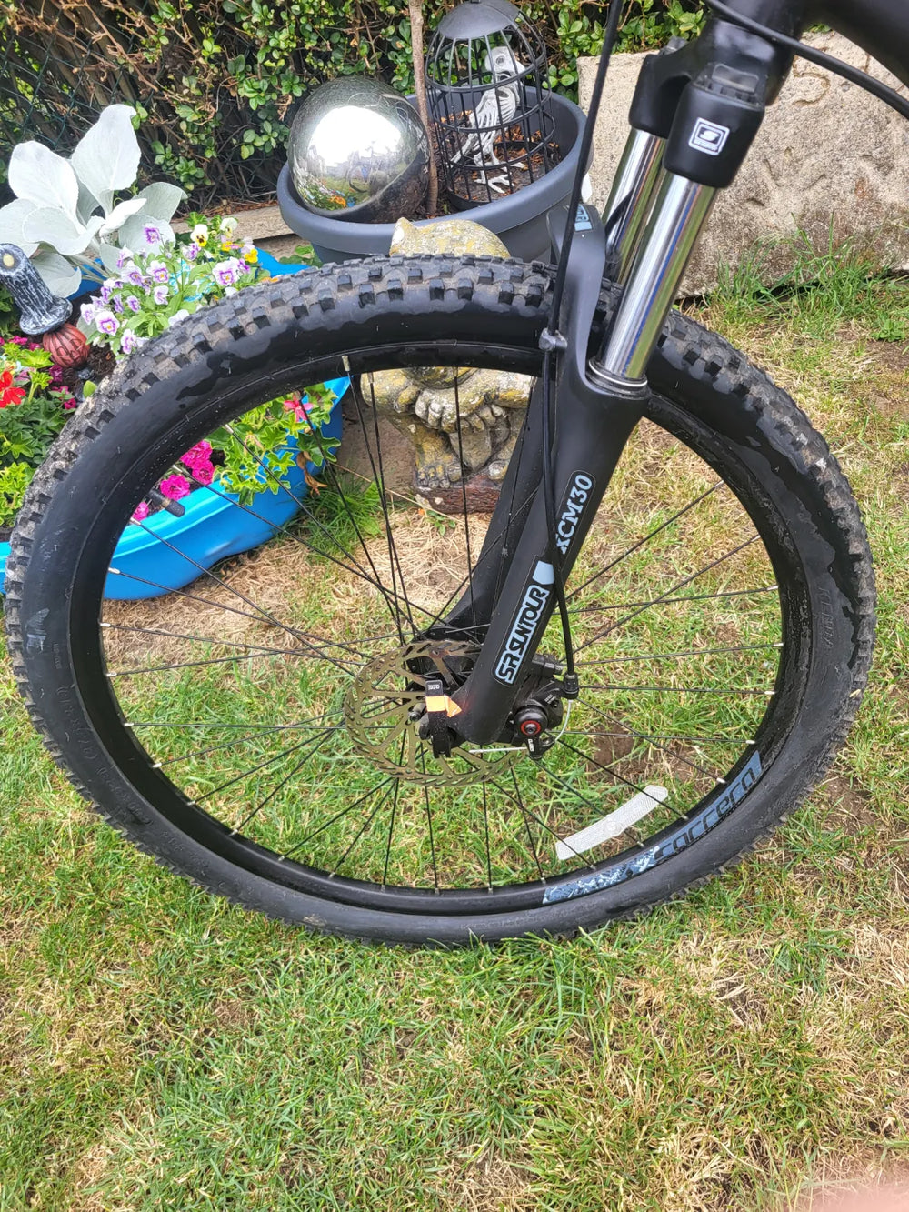 Carrera Vengeance , 2024