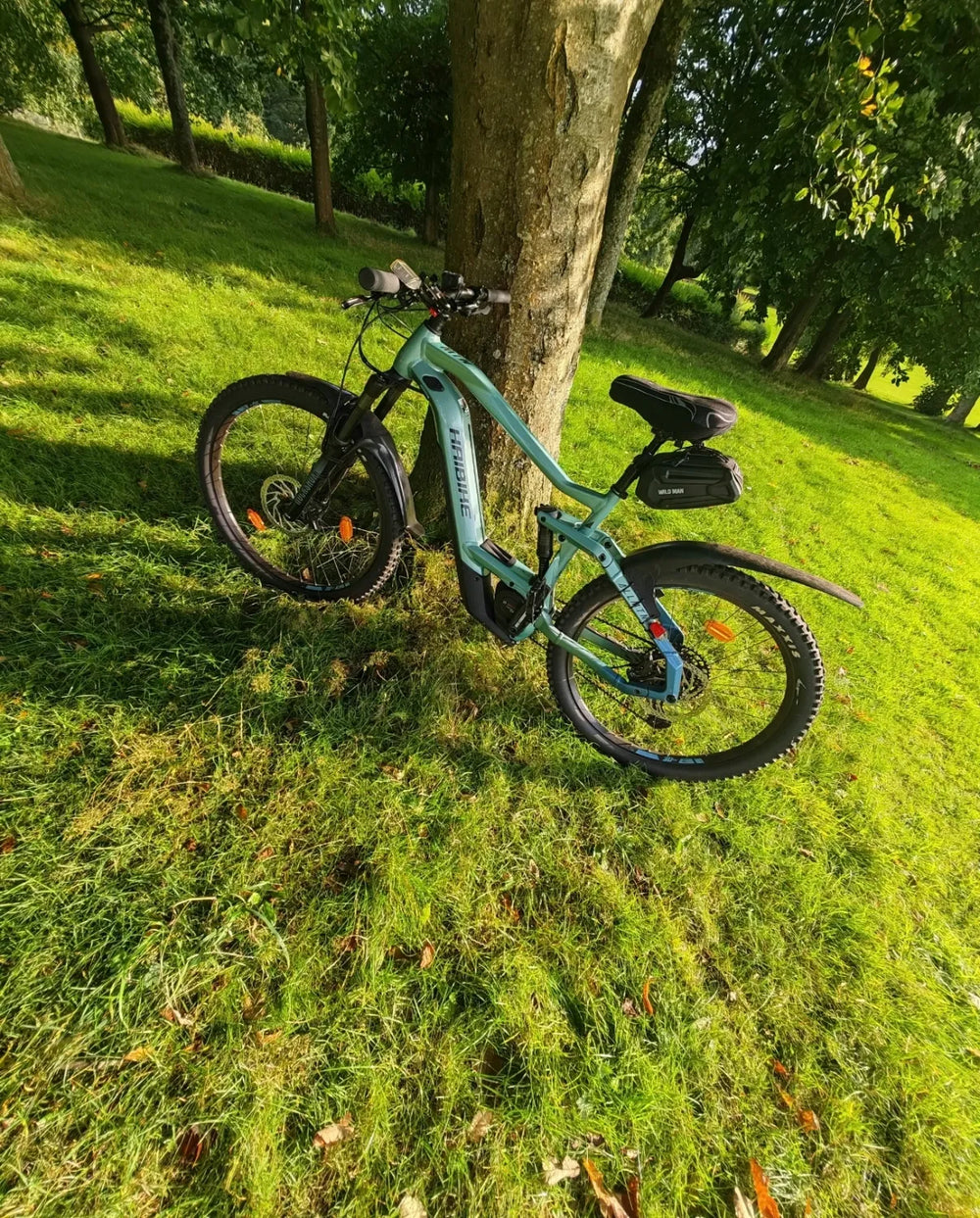 Haibike Allmtn 3 2024