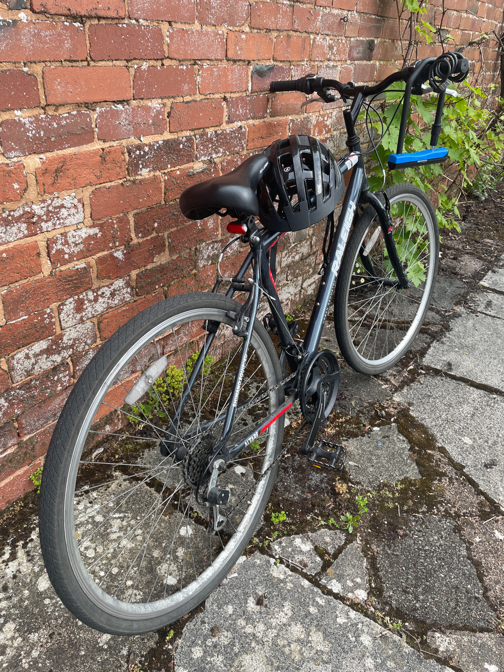 Raleigh Urban 2 1994