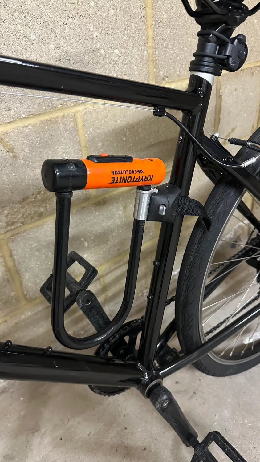 Ridgeback Comet 2024