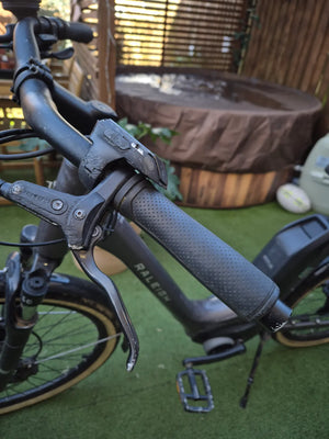 Raleigh Motus Ltd Lowstep Electric 2025