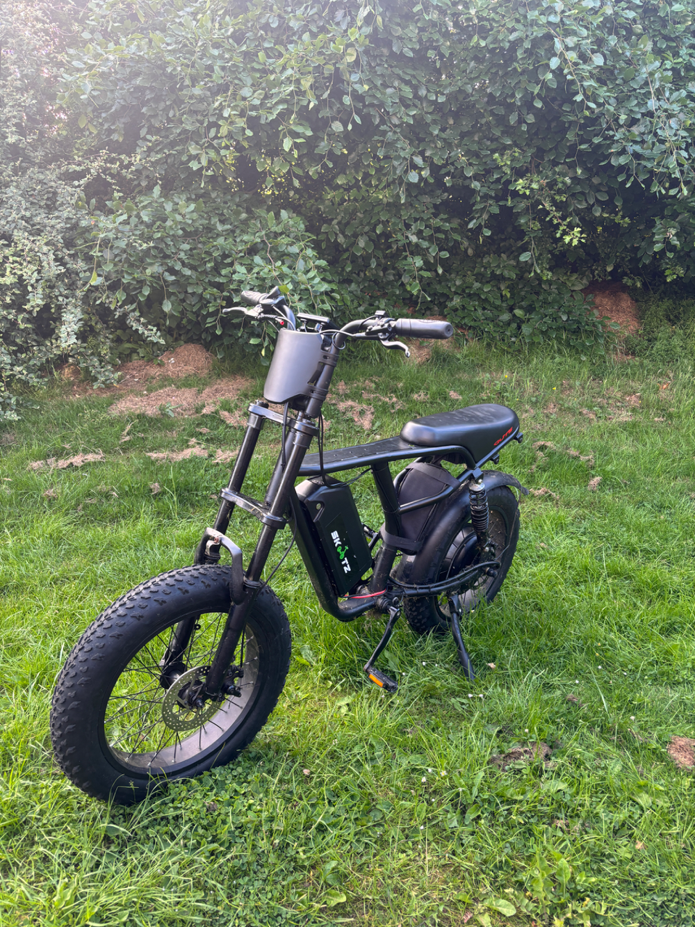Custom Fat bike 2025