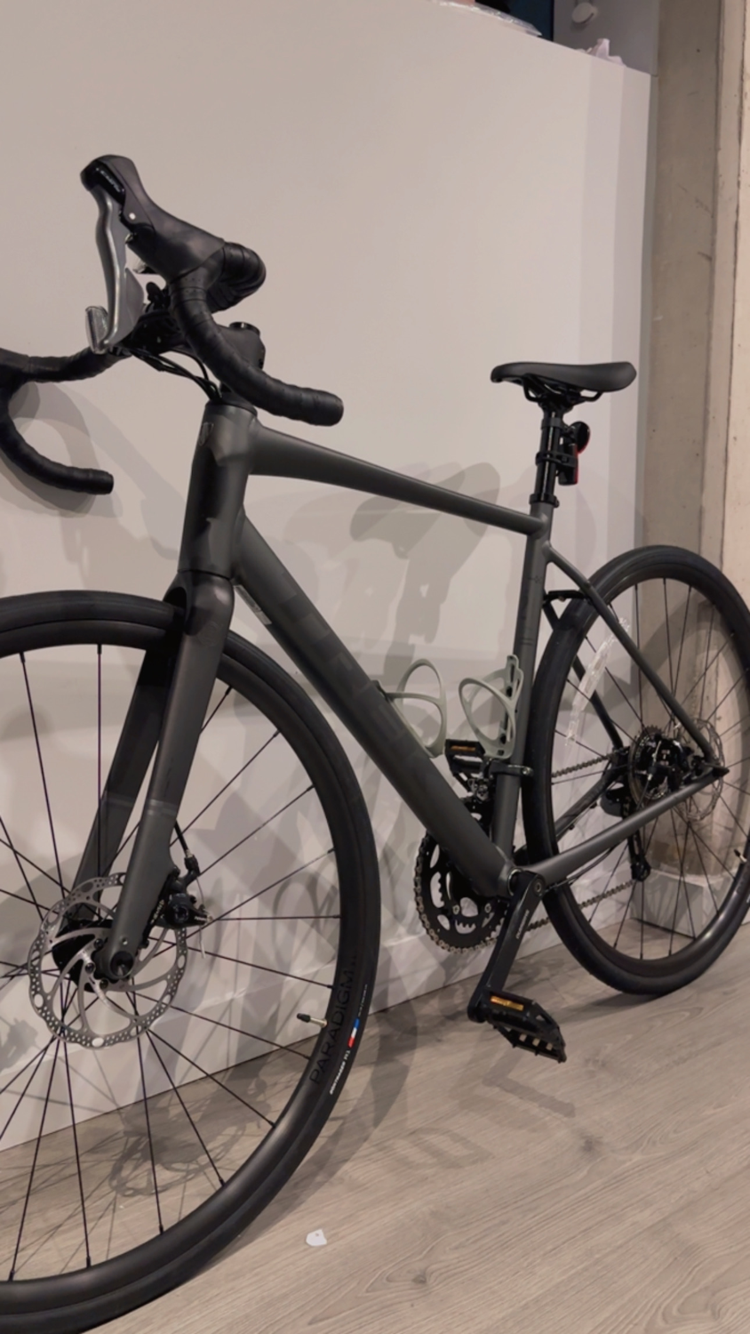 Trek Domane AL 2 Gen 4 2024