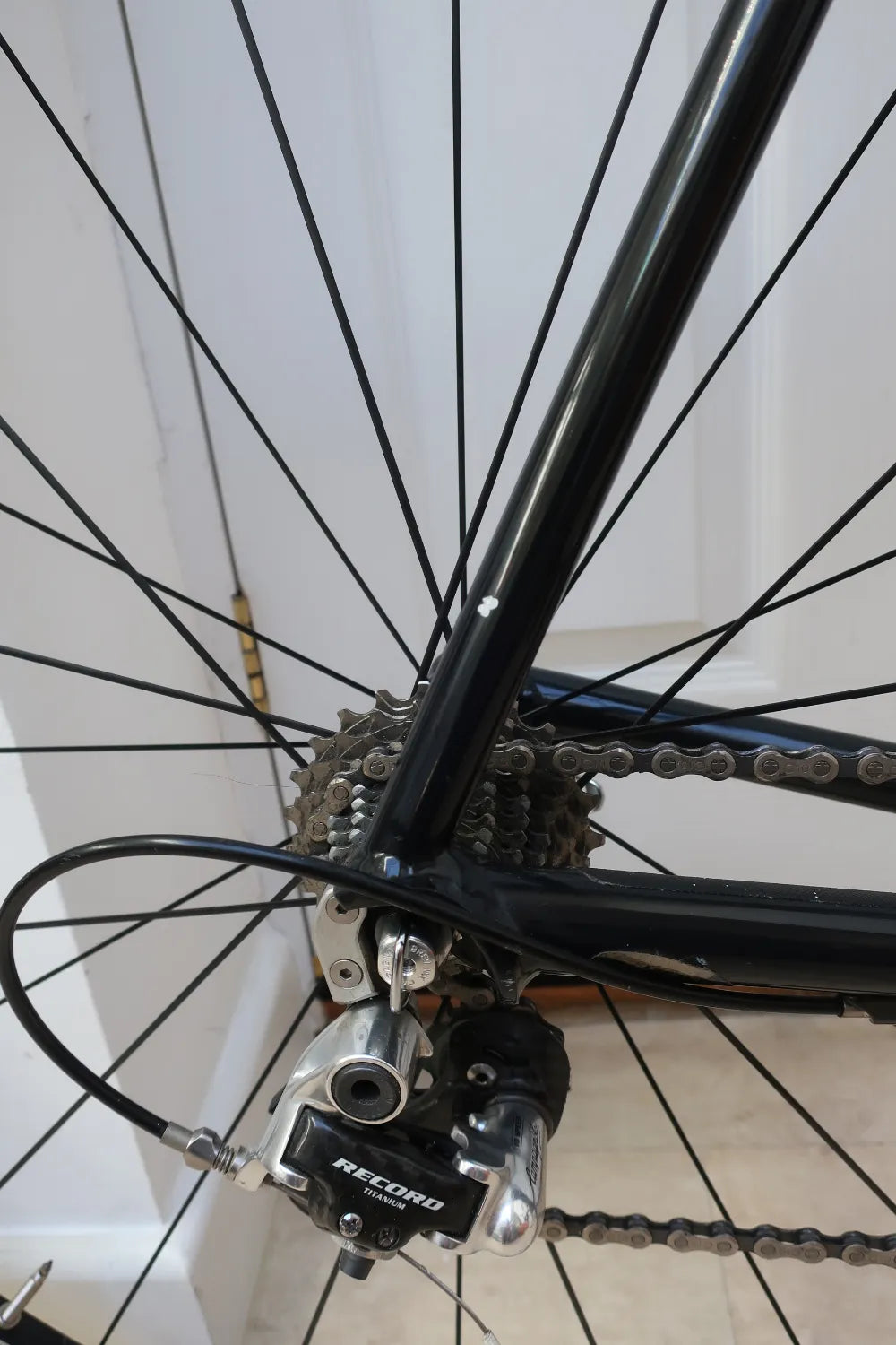 Pegoretti Fina Estampa 2003