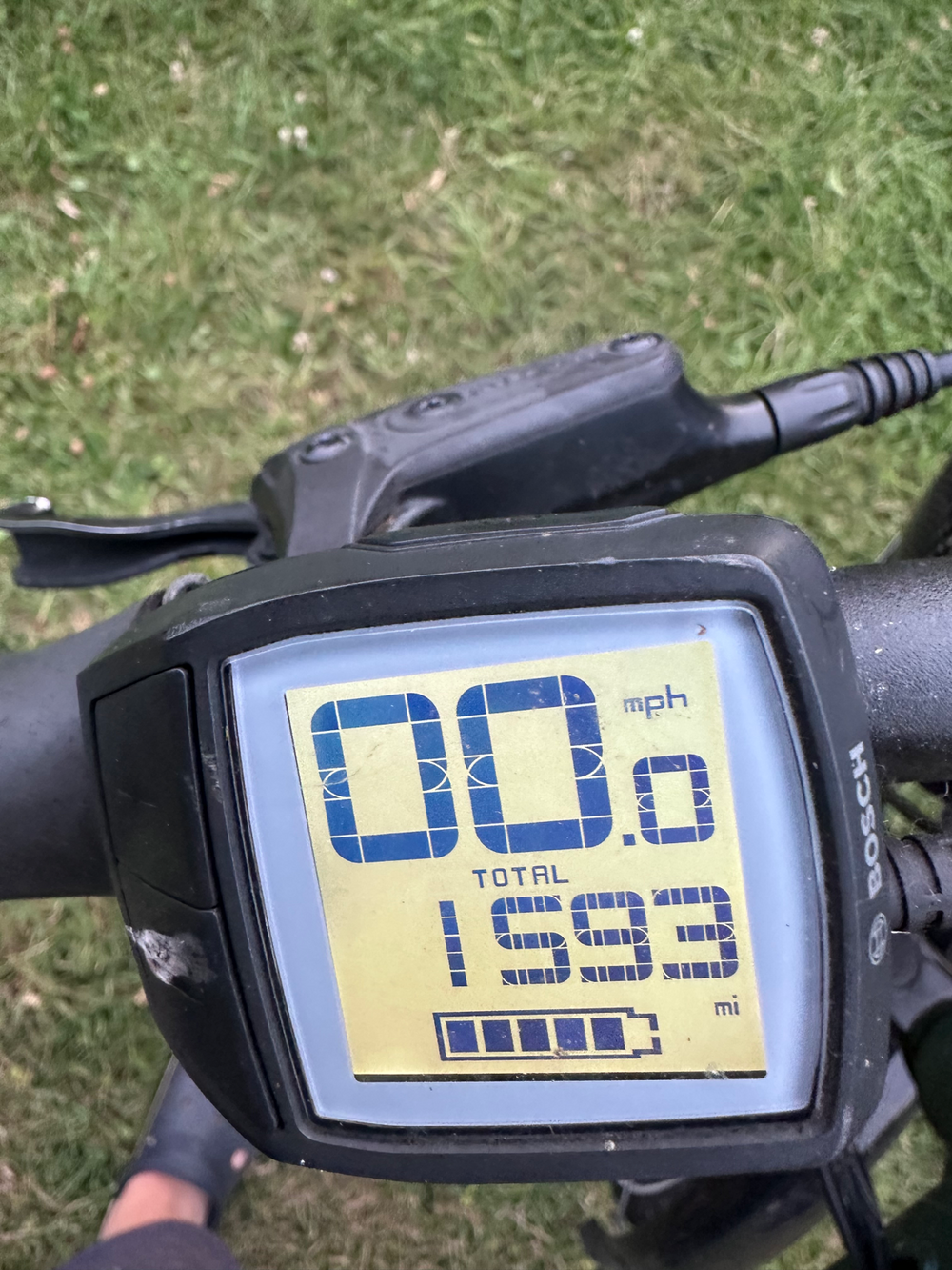 Raleigh Motus Tour Low Step Deralleur 2023
