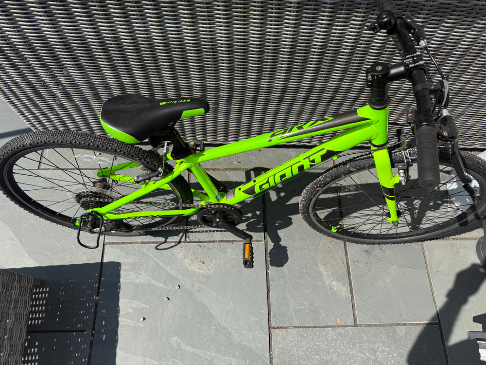 Giant ARX 24 2021
