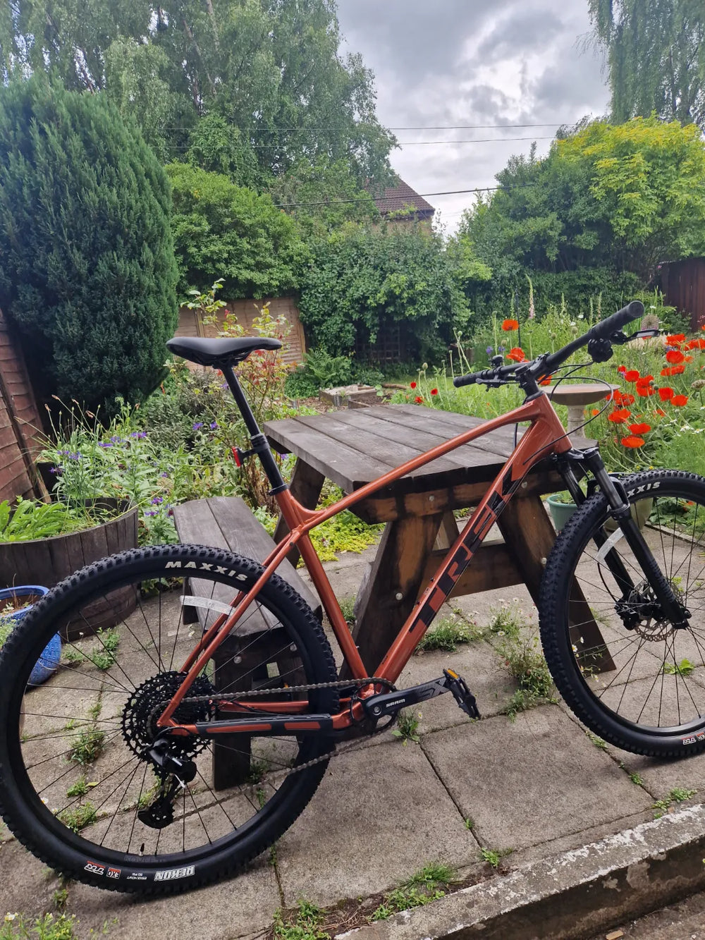 Trek Marlin 7 Gen 3 2025