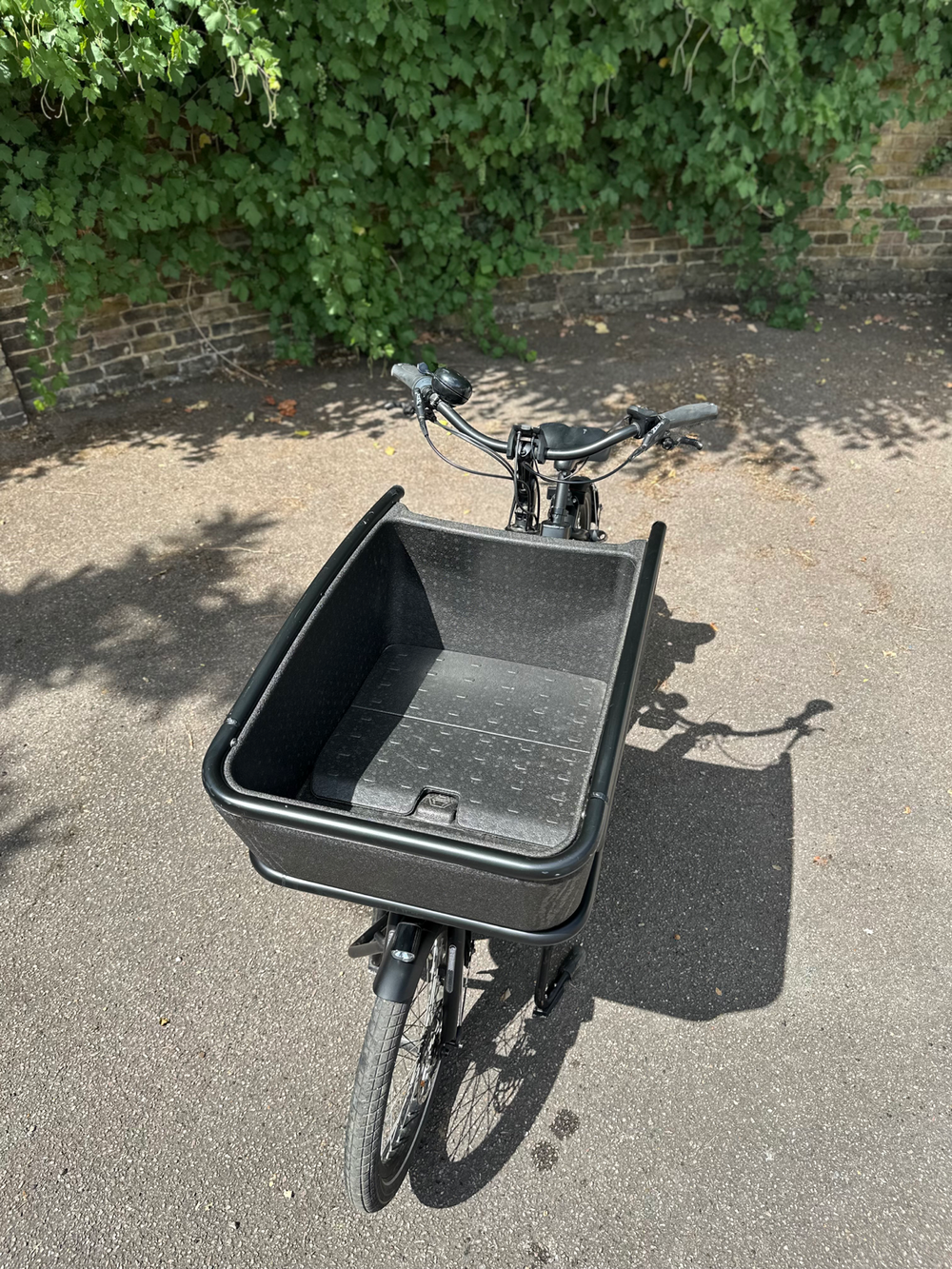 Urban Arrow Shorty 2020