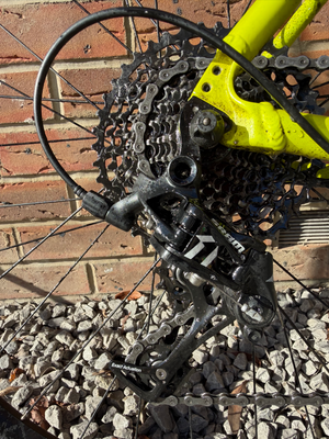 Boardman CXR 8 9 2021