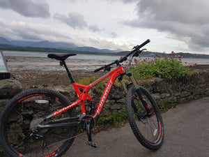 Cannondale Trigger 3 2027