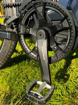 Riese and Muller Homage4 GT Rohloff 2024