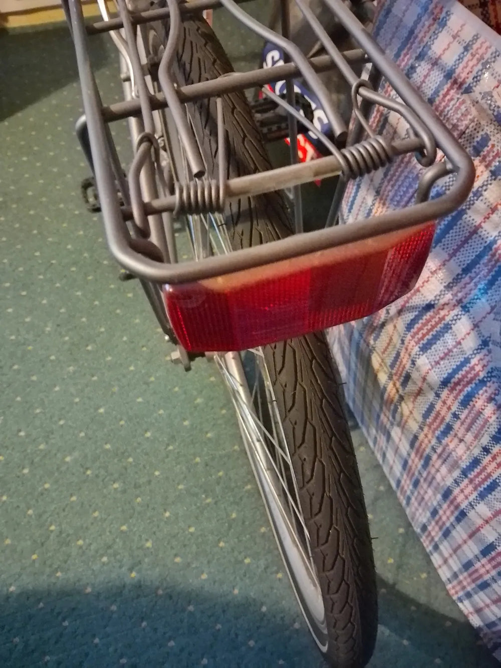 Raligh Pioneer  2024