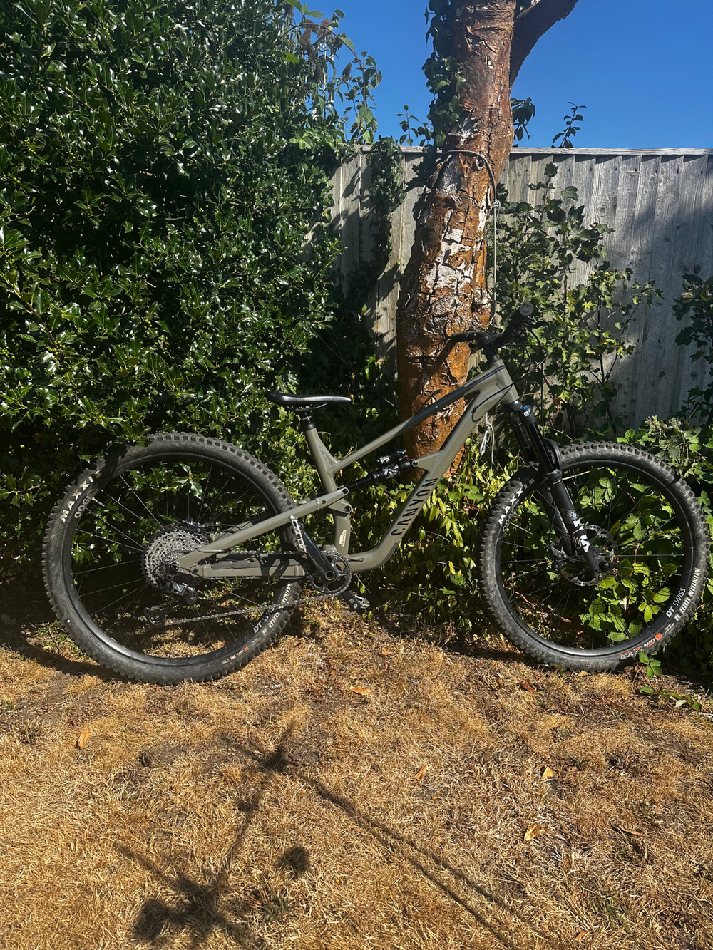 Canyon Spectral 29 6 2022