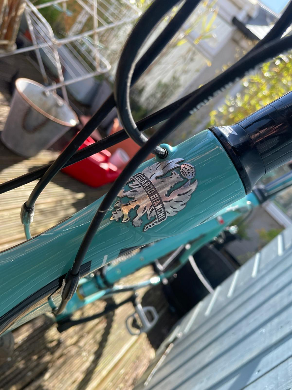 Bianchi Intenso Veloce Compact 2016